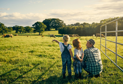 Beryl hero image farmer on field with cows