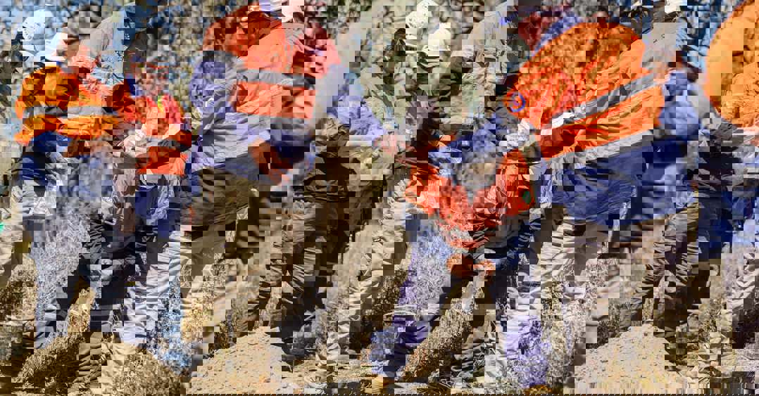 Shell middens are placed in a repatriation pit on the EnergyConnect alignment near the Murray River