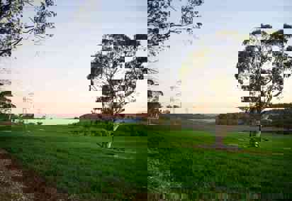 TransGrid-550kV-line