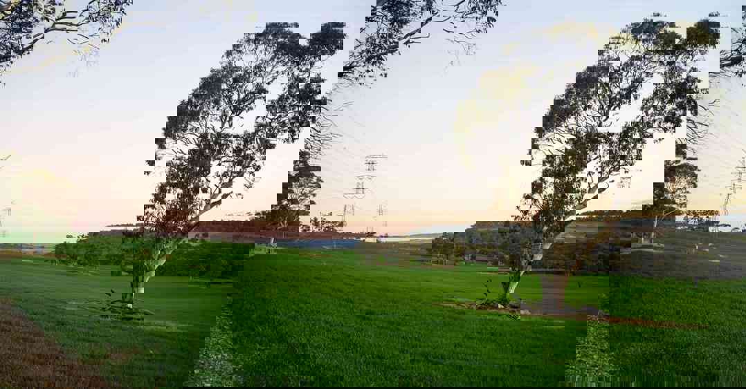 TransGrid-550kV-line