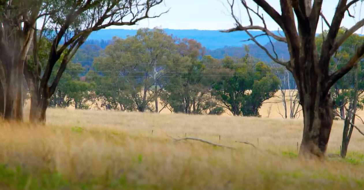 Share Views For the Renewable Energy Zone Transgrid