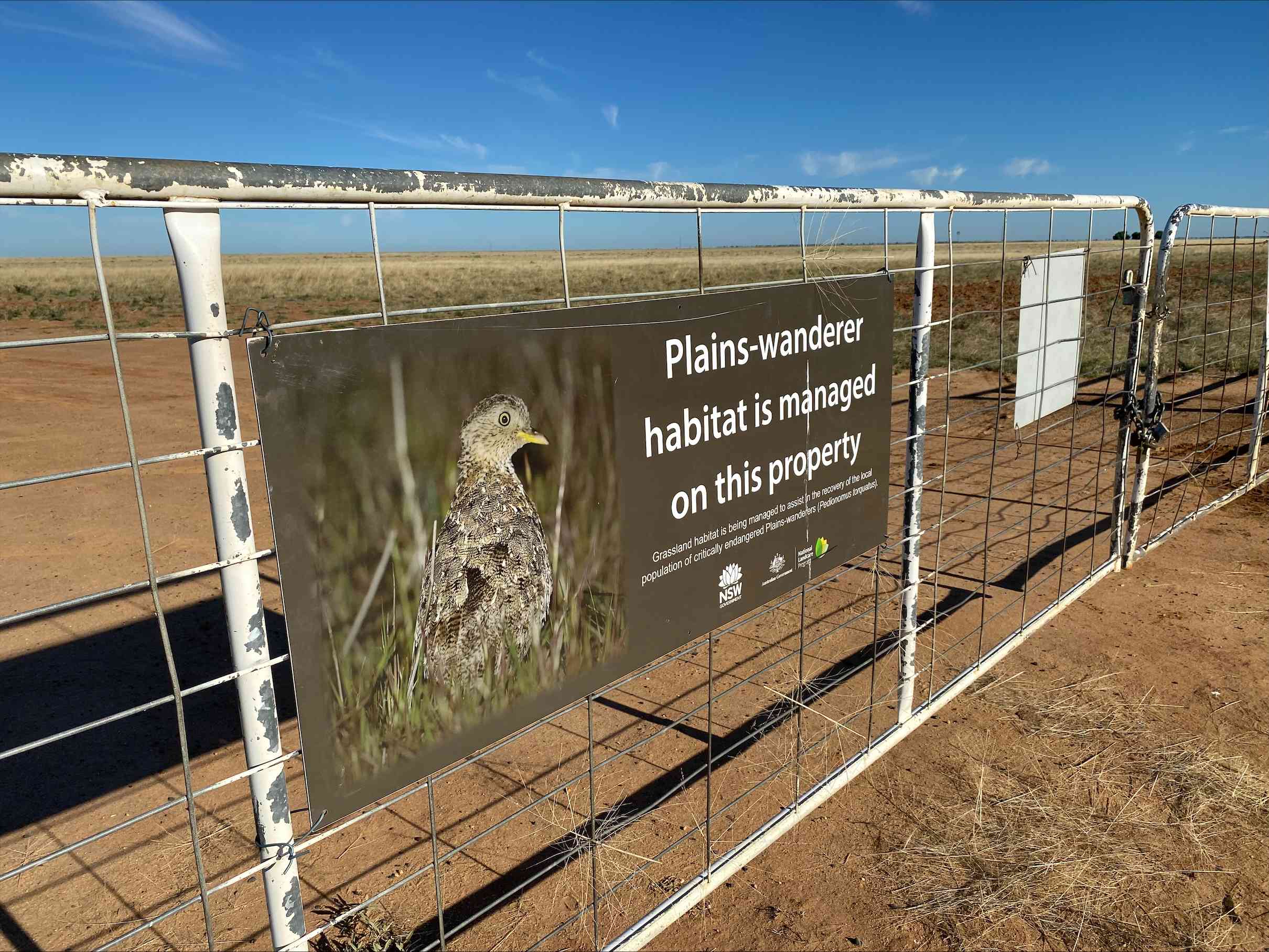 Plains Wanderer sign at BSA property