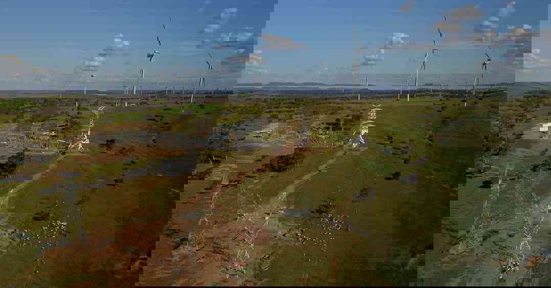 Section 1 Collector Drone 2