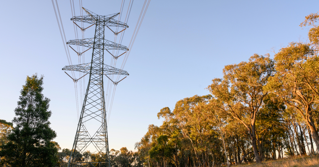 Transgrid Connection Flowchart EnergyConnect - Start of Power Grid Transformation | Transgrid