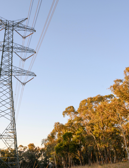 Transgrid Perth Leading The Way To A Clean Energy Future | Transgrid